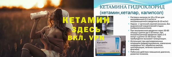 трава Аркадак